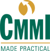 CMMI Made Practical